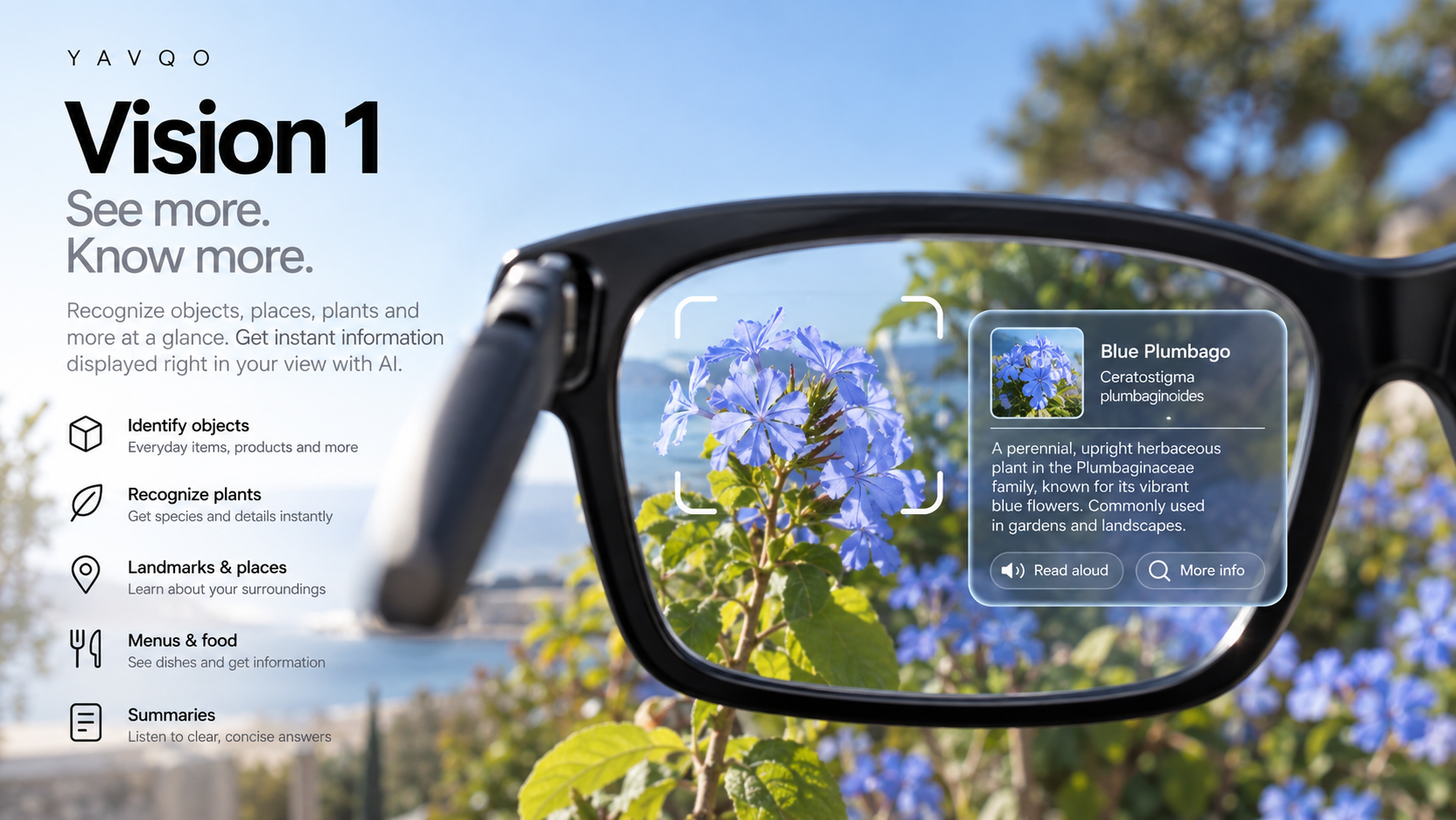 Yavqo Vision 1 detailed view 4